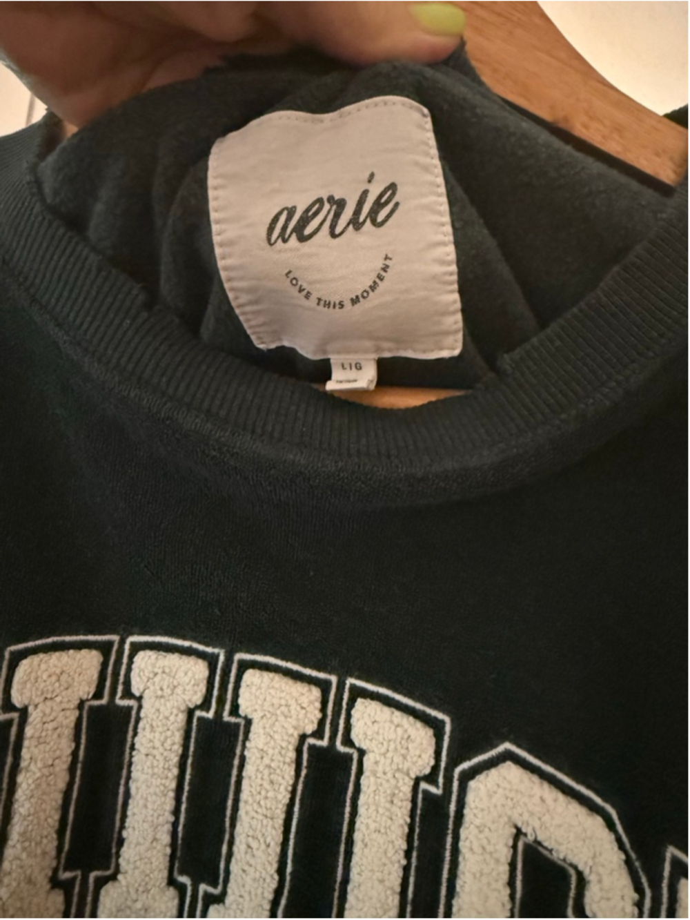 Women's Aerie Dark Green NIIIIICE Graphic Sweatshirt L - Picture 3 of 4